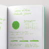 Caran d'Ache Delicate Green Inchiostro 50 ml