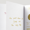 Diamine Shimmering Razzmatazz Inchiostro 50 ml