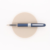 Platinum Plaisir Penna Stilografica Blu
