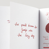 Diamine Shimmering Dragon Blood Inchiostro 50 ml