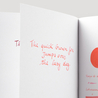 Diamine Coral Ink Bottle 80 ml