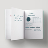 Diamine Aurora Borealis Inchiostro 30 ml