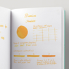 Diamine Amber Ink Bottle 30 ml