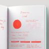 Diamine Coral Ink Bottle 30 ml