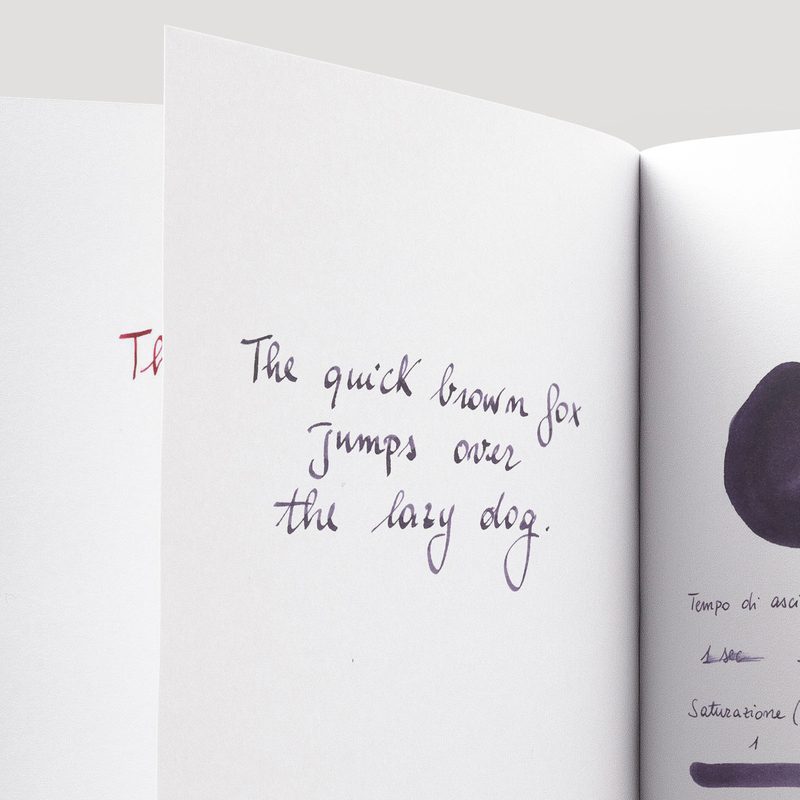 Diamine Damson Inchiostro 30 ml