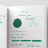 Diamine Delamere Green Inchiostro 30 ml