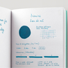 Diamine Eau de Nil Ink Bottle 30 ml