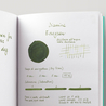 Diamine Evergreen Inchiostro 30 ml