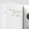 Diamine Evergreen Inchiostro 30 ml