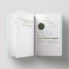 Diamine Evergreen Inchiostro 30 ml