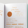 Diamine Golden Brown Inchiostro 30 ml