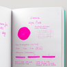 Diamine Hope Pink Inchiostro 30 ml