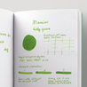 Diamine Kelly Green Inchiostro 30 ml