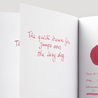 Diamine Maroon Inchiostro 30 ml