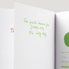 Diamine Meadow Inchiostro 30 ml