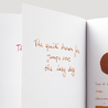 Diamine Ochre Ink Bottle 30 ml