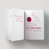 Diamine Oxblood Ink Bottle 30 ml