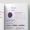 Diamine Flower Pansy Inchiostro 30 ml