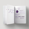 Diamine Flower Pansy Ink Bottle 30 ml