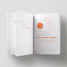 Diamine Peach Haze Inchiostro 30 ml