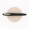 Platinum Izumo Urushi Tamenuri Fountain Pen Biwatame