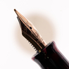 Twsbi Draco Fountain Pen Limited Edition