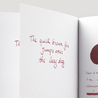 Diamine Rustic Brown Inchiostro 30 ml