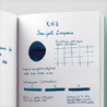 KWZ Iron Gall Turquoise Inchiostro Ferrogallico 60 ml