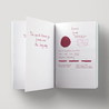 Diamine Syrah Inchiostro 30 ml