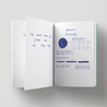 Diamine Music Tchaikovsky Inchiostro 30 ml
