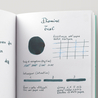 Diamine Teal Ink Bottle 30 ml