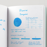 Diamine Turquoise Inchiostro 30 ml