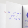Diamine Violet Ink Bottle 30 ml