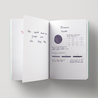 Diamine Music Vivaldi Inchiostro 30 ml