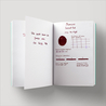 Diamine Inkvent Seize the Night Inchiostro 50 ml Red Edition