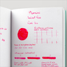 Diamine Inkvent Pink Ice Inchiostro 50 ml Red Edition Shimmer