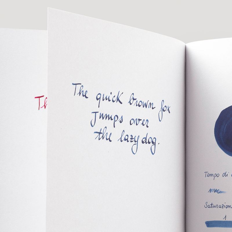 Diamine Blue Black Inchiostro 80 ml