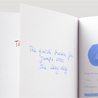 Diamine China Blue Inchiostro 80 ml