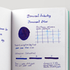 Dominant Industry Standard Dominant Blue Ink Bottle 25 ml