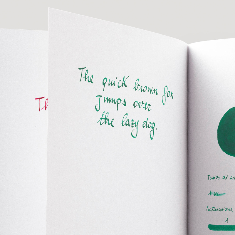 Diamine Delamere Green Ink Bottle 80 ml