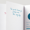 Diamine Eau de Nil Ink Bottle 80 ml