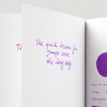 Diamine Majestic Purple Inchiostro 80 ml
