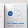 Diamine Misty Blue Ink Bottle 80 ml