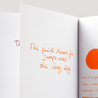 Diamine Orange Ink Bottle 80 ml