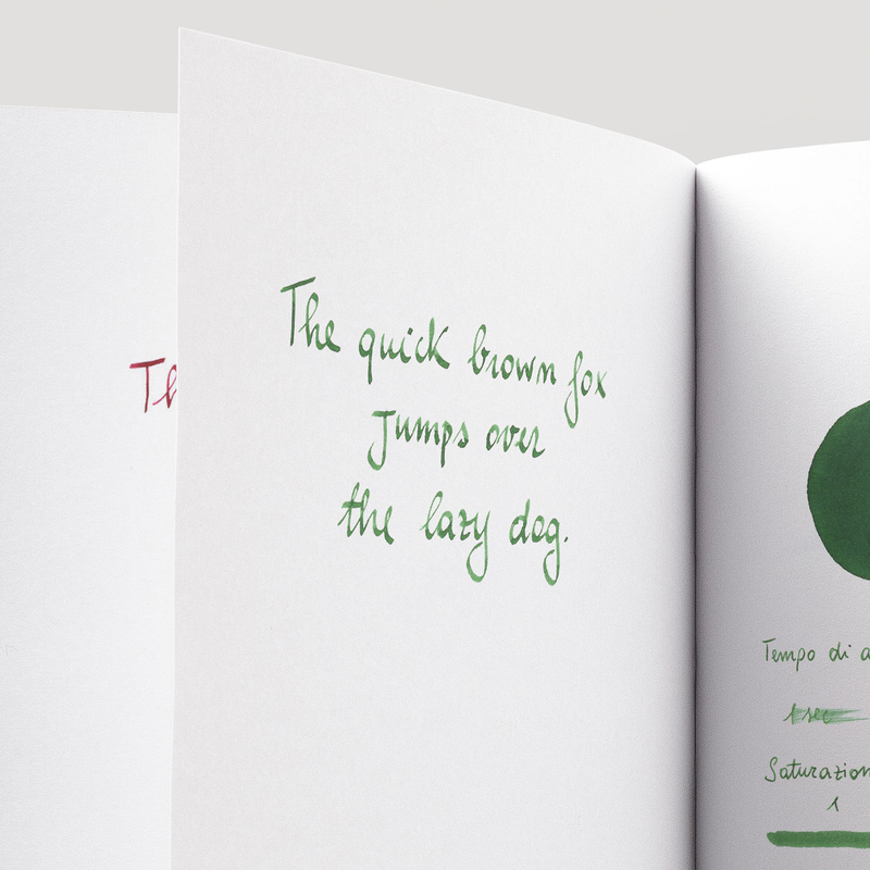 Diamine Sherwood Green Inchiostro 80 ml