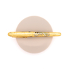 Platinum 3776 Century Kanazawa-Haku Penna Stilografica Ascending Dragon