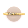Platinum 3776 Century Kanazawa-Haku Penna Stilografica Ascending Dragon