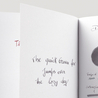 Diamine Shimmering Moon Dust Inchiostro 50 ml