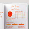 Color Traveler Saijo Persimmon Inchiostro 30 ml
