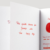 Color Traveler Saijo Red Brick Chimney Inchiostro 30 ml